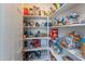 Well-organized pantry with shelving filled with various food items and clear storage containers at 20557 W Lost Creek Dr, Buckeye, AZ 85396