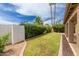 Fenced backyard featuring green grass, palm trees, and a trimmed hedge along a block fence at 2189 E Ranch Ct, Gilbert, AZ 85296