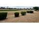 Community green space featuring well-manicured lawns, xeriscaping, and common areas in Gathering neighborhood at 22615 N 31St Dr, Phoenix, AZ 85027