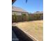 Spacious backyard with a neat lawn, complemented by mature trees and a well-maintained border at 29474 W Columbus Ave, Buckeye, AZ 85396