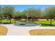 Community playground features a whimsical palm tree and spring riders on a safe, cushioned surface at 30308 W Whitton Ave, Buckeye, AZ 85396