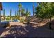 Expansive backyard featuring a sparkling pool, mature trees and desert landscaping at 4241 E Andre Ave, Gilbert, AZ 85298