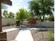 Landscaped backyard with gravel, shrubs, walkway, and block wall for privacy at 6687 S Banning St, Gilbert, AZ 85298