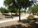 Community park featuring walking path, trees, lush landscaping and open space at 6687 S Banning St, Gilbert, AZ 85298