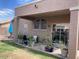Back patio complete with a covered area and lush landscaping, perfect for enjoying the outdoors at 914 W Morelos St, Chandler, AZ 85225
