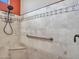 Tile shower with grab bar and corner seat at 11547 W King Snake Ct, Surprise, AZ 85378