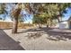 Gravel backyard area with mature trees and a wood fence at 1368 W 14Th St, Tempe, AZ 85281