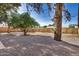 Gravel backyard featuring trees and a wood fence at 1368 W 14Th St, Tempe, AZ 85281