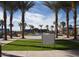 Community pool surrounded by tall palm trees with chairs and sun loungers available for residents at 20638 W Main St, Buckeye, AZ 85396
