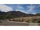 Scenic street view with desert landscaping and mountain backdrop, showcasing the natural beauty at 20638 W Main St, Buckeye, AZ 85396
