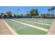 A shuffleboard court is surrounded by landscaping and shade trees and equipped with lighting at 215 N Power Rd # 33, Mesa, AZ 85205