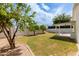 Beautiful backyard, with green lawn and trees at 3307 E Roveen Ave, Phoenix, AZ 85032