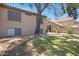 Exterior view of the backyard featuring green grass and a large tree at 3491 N Arizona Ave # 174, Chandler, AZ 85225