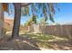 Large fenced backyard with mature shade tree and partially grassed, perfect for outdoor activities at 3491 N Arizona Ave # 174, Chandler, AZ 85225
