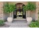 Grand entrance with ornate iron doors, potted plants, and a view into a beautifully decorated living space at 3731 E Halifax Cir, Mesa, AZ 85205