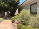 Lush landscaping with walkway at 3731 E Halifax Cir, Mesa, AZ 85205