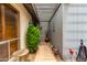 Covered walkway featuring wood slats, neutral paint, a potted plant, and wall decor at 4024 W Griswold Rd, Phoenix, AZ 85051