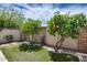 Backyard featuring desert landscaping, citrus trees, and an artificial grass lawn at 4242 N 44Th St, Phoenix, AZ 85018