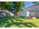 Spacious backyard with lush green grass, a mature tree, and storage sheds at 6121 N 11Th St, Phoenix, AZ 85014