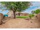 Spacious backyard featuring a large tree, open grass area, and covered patio, creating a relaxing outdoor space at 7812 S 67Th Ln, Laveen, AZ 85339