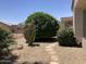 Landscaped backyard with desert plants, rock pathway, and shaded seating area at 15753 W Kino Dr, Surprise, AZ 85374