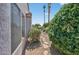 The backyard features desert landscaping, a sparkling pool, and a view of the neighboring homes at 15753 W Kino Dr, Surprise, AZ 85374