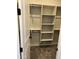Spacious walk-in closet with adjustable shelving, providing ample storage space at 16006 W Electra Ln, Surprise, AZ 85387