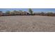 Large gravel backyard surrounded by block fencing and mature trees at 20761 N Herbert Ave, Maricopa, AZ 85138