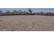Large gravel backyard with a tall block fence providing ample space for outdoor activities and low maintenance at 20761 N Herbert Ave, Maricopa, AZ 85138