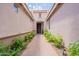 Inviting walkway leading to the front door, lined with vibrant yellow flowers and lush greenery at 550 W Powell Way, Chandler, AZ 85248