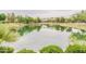Serene community pond surrounded by lush greenery and trees, providing a tranquil escape for residents at 550 W Powell Way, Chandler, AZ 85248