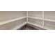 Spacious walk-in pantry with ample shelving for storage and organization at 613 W Winchester Dr, Chandler, AZ 85286