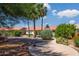 Well-maintained backyard with desert landscaping, mature trees, and a paver walkway at 6301 S Tournament Ln, Chandler, AZ 85249