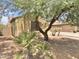 Lush greenery surrounds the home, enhancing its curb appeal and creating a peaceful outdoor setting at 7116 W Sophie Ln, Laveen, AZ 85339
