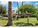 Lush backyard with mature trees and landscaping, creating a serene outdoor space at 7707 E Park View Dr, Mesa, AZ 85208