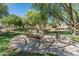 Community park featuring mature trees, picnic tables, benches, and paved walking paths for recreation at 18542 W Valerie Dr, Surprise, AZ 85374