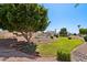 Serene community space with lush green lawn, mature trees, and community pool at 2055 N 56Th St # 15, Mesa, AZ 85215