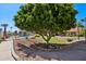Community pool with meticulous desert landscaping and mature shade trees at 2055 N 56Th St # 15, Mesa, AZ 85215