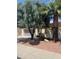 Single story tan home with a large tree and palm and desert landscaping at 23317 N Arrellaga Dr, Sun City West, AZ 85375