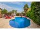 Sparkling pool with lush landscaping creating a serene backyard oasis at 40345 W Molly Ln, Maricopa, AZ 85138