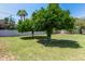 Expansive backyard featuring mature shade trees for relaxing outdoors and enjoying the weather at 6302 N 13Th Pl, Phoenix, AZ 85014