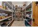 A walk-in pantry provides ample storage with shelves stocked with cookware, dishes, and pantry staples at 9435 E Hobart Cir, Mesa, AZ 85207