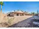 Spacious backyard features a covered patio, gravel landscaping, and mature palm tree, perfect for outdoor living at 11044 N 75Th Dr, Peoria, AZ 85345