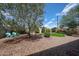 Charming backyard retreat featuring a manicured lawn, mature trees and lounge area at 322 N Williams St, Mesa, AZ 85203