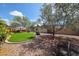 Outdoor patio area with manicured lawn and mature trees at 322 N Williams St, Mesa, AZ 85203