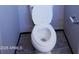 Close-up of a standard white toilet in a residential bathroom at 43241 W Kristal Ln, Maricopa, AZ 85138