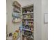 Walk-in pantry offers shelving on the door and inside for ample storage at 4609 E Ironhorse Rd, Gilbert, AZ 85297