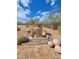 Outdoor water fountain feature surrounded by desert landscaping and stone accents at 5141 E Rancho Tierra Dr, Cave Creek, AZ 85331