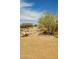 Outdoor area with gravel, desert landscaping and various cacti at 5141 E Rancho Tierra Dr, Cave Creek, AZ 85331