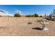 Low maintenance backyard with an ornate water fountain at 9857 W Tonto Ln, Peoria, AZ 85382